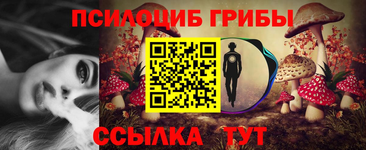 Каспийск  Галлюциногенные грибы мухоморы  Вход с VPN 